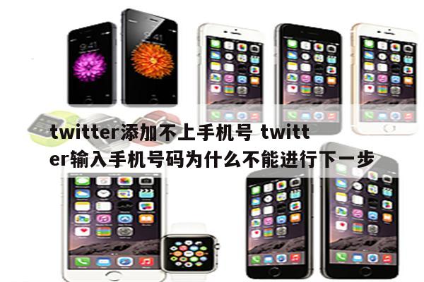 twitter添加不上手机号 twitter输入手机号码为什么不能进行下一步