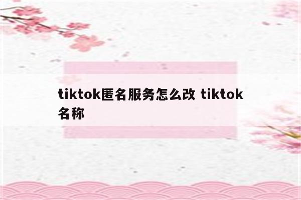 tiktok匿名服务怎么改 tiktok名称