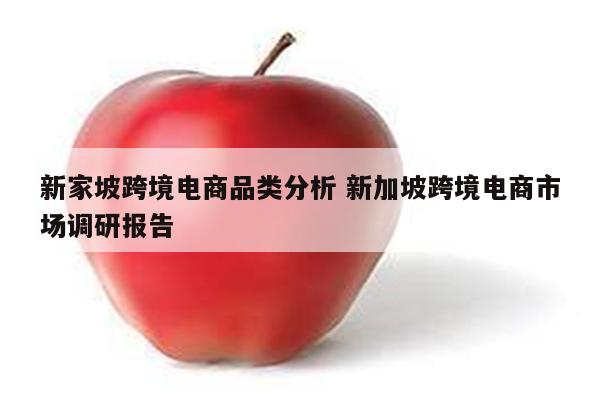 新家坡跨境电商品类分析 新加坡跨境电商市场调研报告