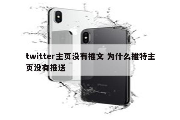 twitter主页没有推文 为什么推特主页没有推送