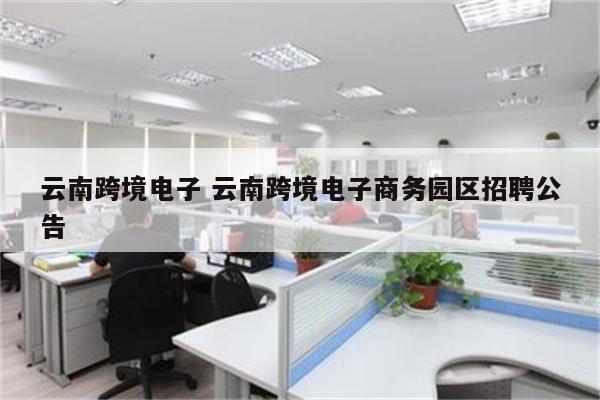 云南跨境电子 云南跨境电子商务园区招聘公告