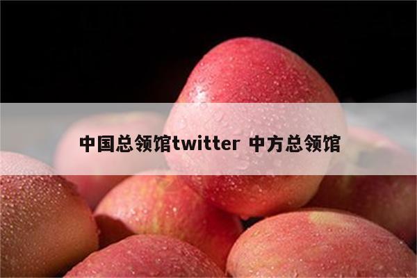 中国总领馆twitter 中方总领馆