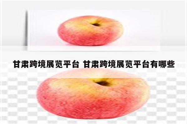 甘肃跨境展览平台 甘肃跨境展览平台有哪些