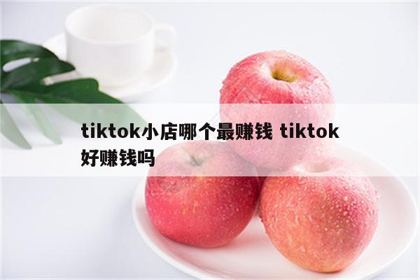 tiktok小店哪个最赚钱 tiktok好赚钱吗