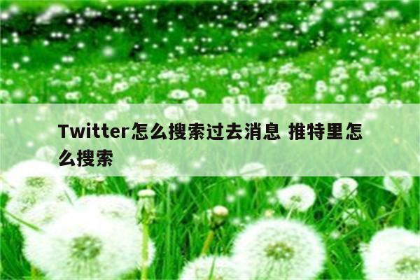 Twitter怎么搜索过去消息 推特里怎么搜索
