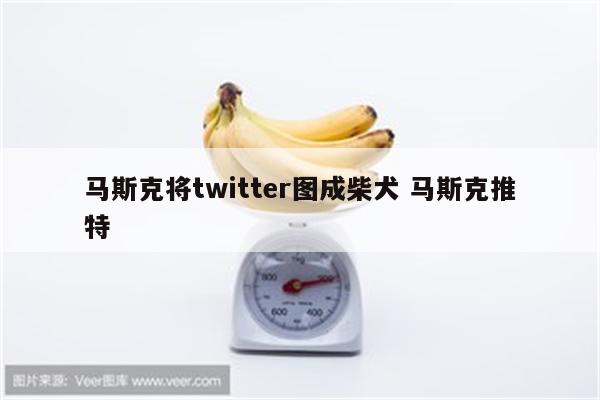 马斯克将twitter图成柴犬 马斯克推特