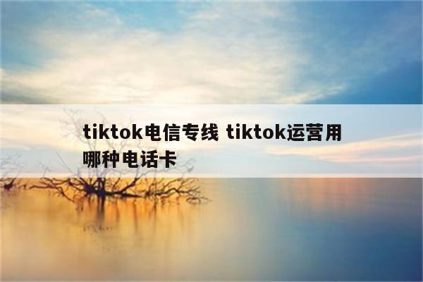 tiktok电信专线 tiktok运营用哪种电话卡