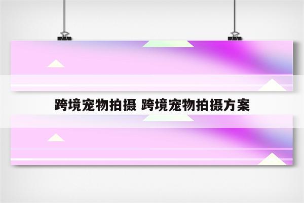 跨境宠物拍摄 跨境宠物拍摄方案