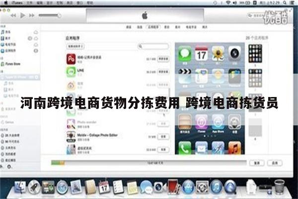 河南跨境电商货物分拣费用 跨境电商拣货员