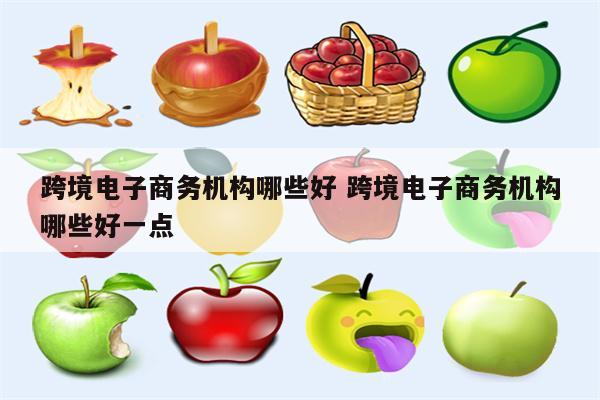 跨境电子商务机构哪些好 跨境电子商务机构哪些好一点