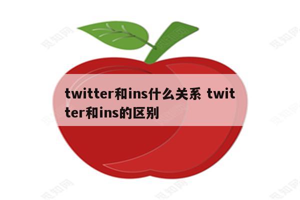 twitter和ins什么关系 twitter和ins的区别