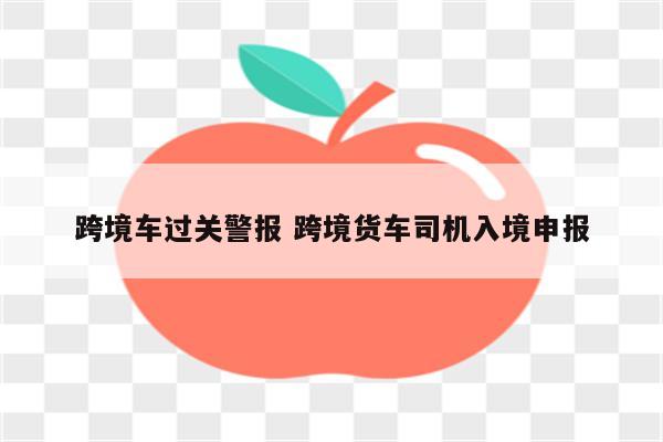 跨境车过关警报 跨境货车司机入境申报