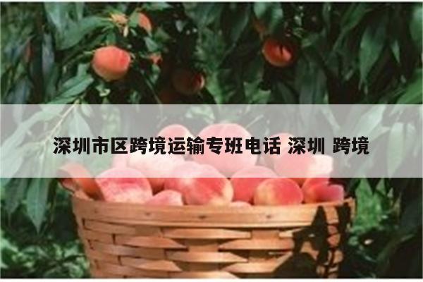 深圳市区跨境运输专班电话 深圳 跨境