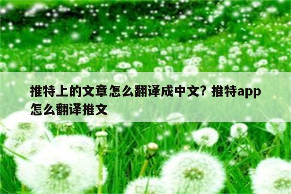 推特上的文章怎么翻译成中文? 推特app怎么翻译推文
