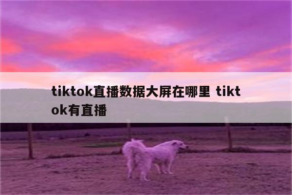 tiktok直播数据大屏在哪里 tiktok有直播