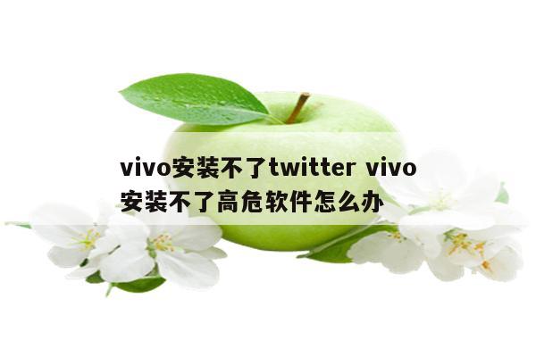 vivo安装不了twitter vivo安装不了高危软件怎么办