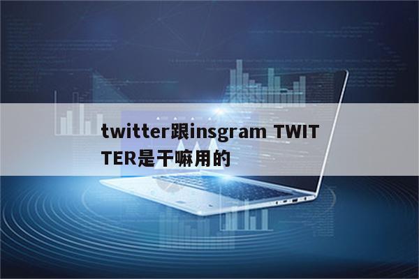 twitter跟insgram TWITTER是干嘛用的