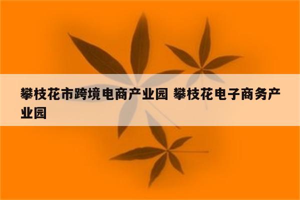 攀枝花市跨境电商产业园 攀枝花电子商务产业园