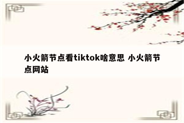 小火箭节点看tiktok啥意思 小火箭节点网站