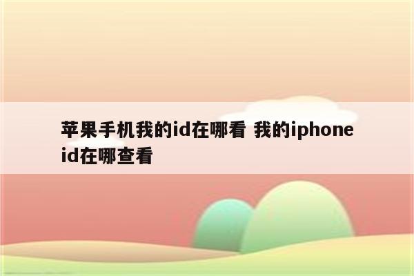 苹果手机我的id在哪看 我的iphoneid在哪查看