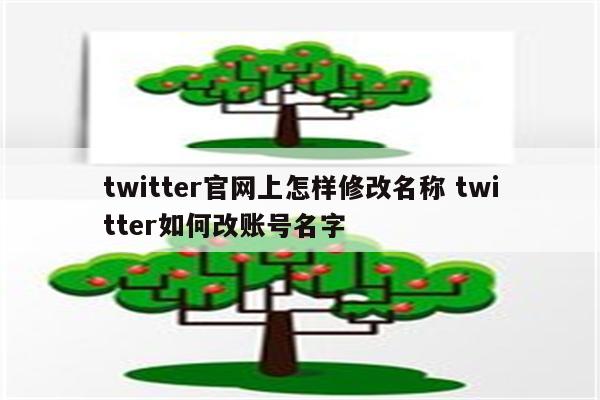 twitter官网上怎样修改名称 twitter如何改账号名字