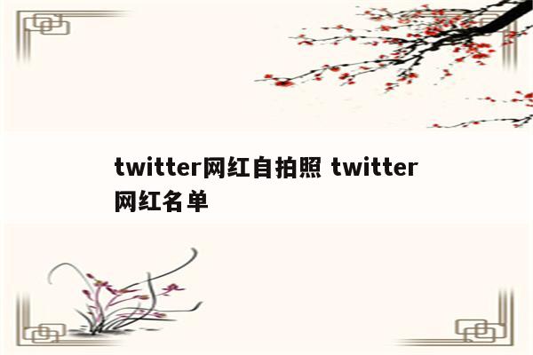 twitter网红自拍照 twitter网红名单