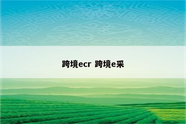 跨境ecr 跨境e采