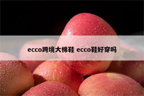 ecco跨境大棉鞋 ecco鞋好穿吗