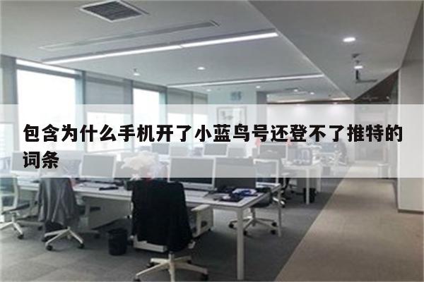 包含为什么手机开了小蓝鸟号还登不了推特的词条