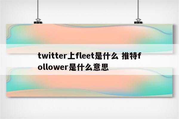 twitter上fleet是什么 推特follower是什么意思