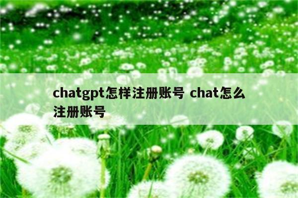 chatgpt怎样注册账号 chat怎么注册账号