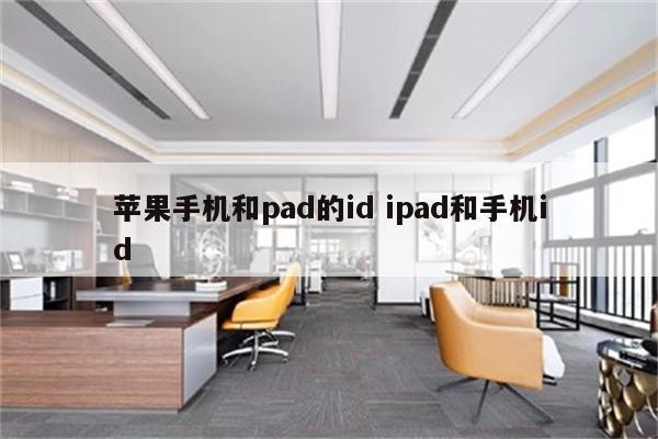 苹果手机和pad的id ipad和手机id