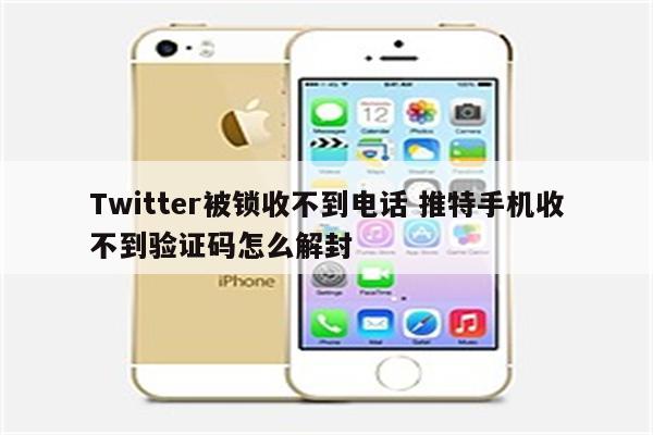 Twitter被锁收不到电话 推特手机收不到验证码怎么解封