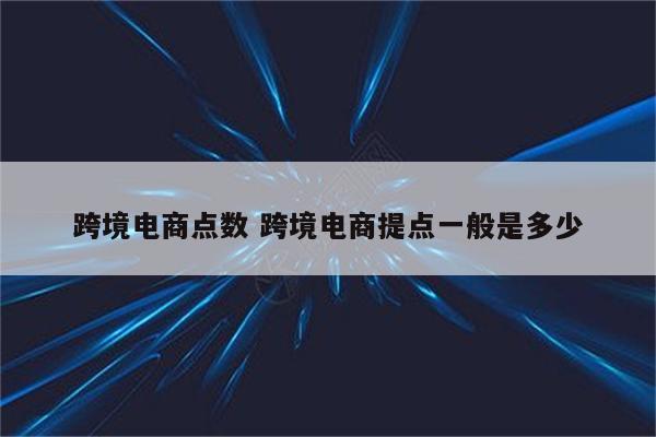 跨境电商点数 跨境电商提点一般是多少
