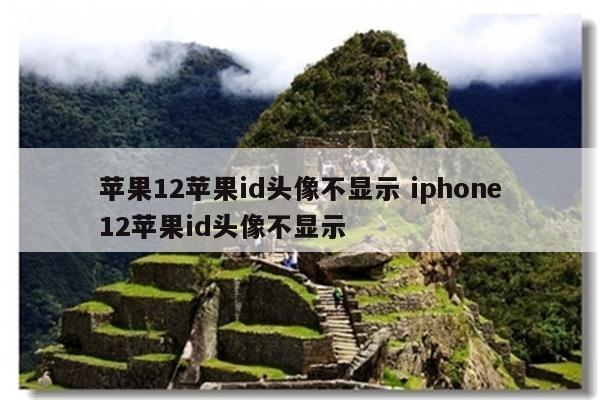 苹果12苹果id头像不显示 iphone12苹果id头像不显示