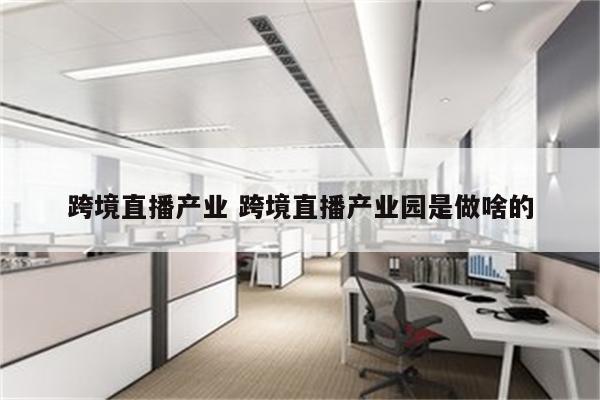 跨境直播产业 跨境直播产业园是做啥的