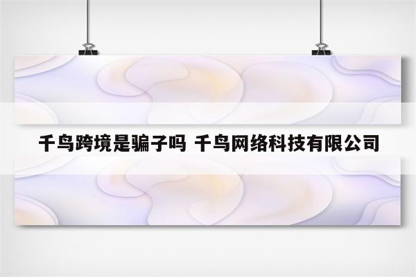 千鸟跨境是骗子吗 千鸟网络科技有限公司