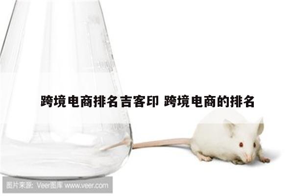 跨境电商排名吉客印 跨境电商的排名