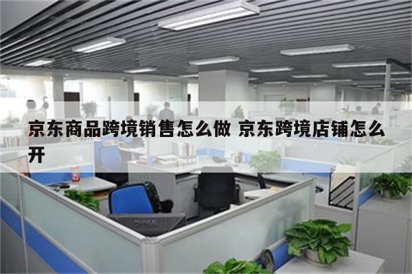 京东商品跨境销售怎么做 京东跨境店铺怎么开