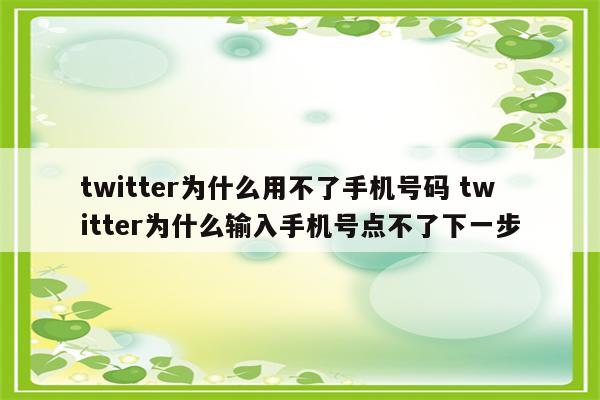 twitter为什么用不了手机号码 twitter为什么输入手机号点不了下一步