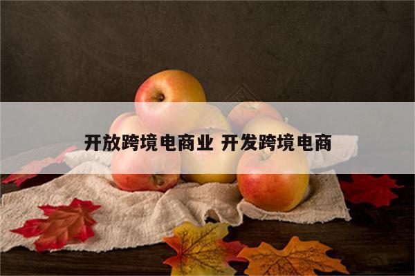 开放跨境电商业 开发跨境电商