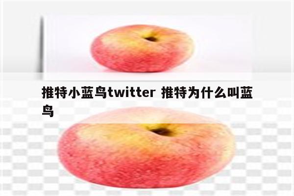 推特小蓝鸟twitter 推特为什么叫蓝鸟