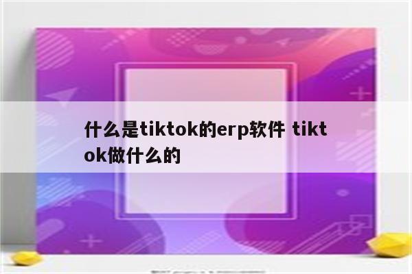 什么是tiktok的erp软件 tiktok做什么的