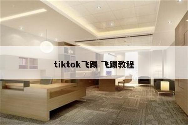 tiktok飞踢 飞踢教程