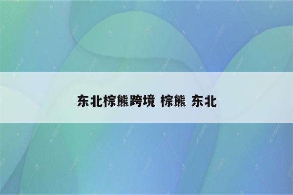 东北棕熊跨境 棕熊 东北
