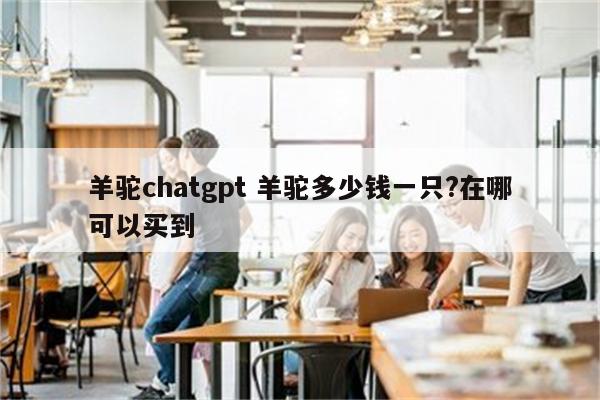 羊驼chatgpt 羊驼多少钱一只?在哪可以买到