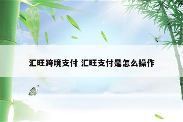 汇旺跨境支付 汇旺支付是怎么操作
