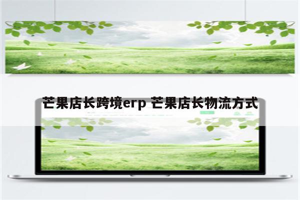 芒果店长跨境erp 芒果店长物流方式