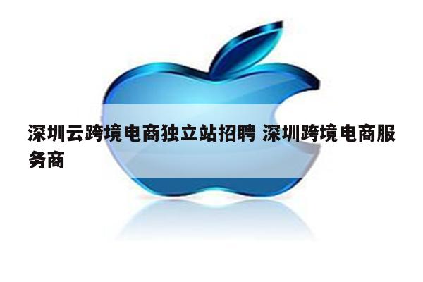 深圳云跨境电商独立站招聘 深圳跨境电商服务商