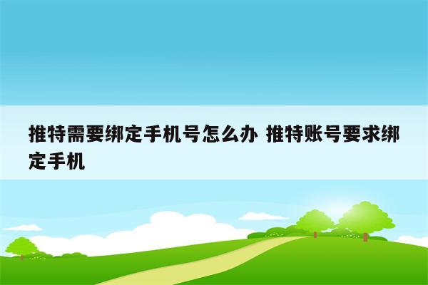 推特需要绑定手机号怎么办 推特账号要求绑定手机